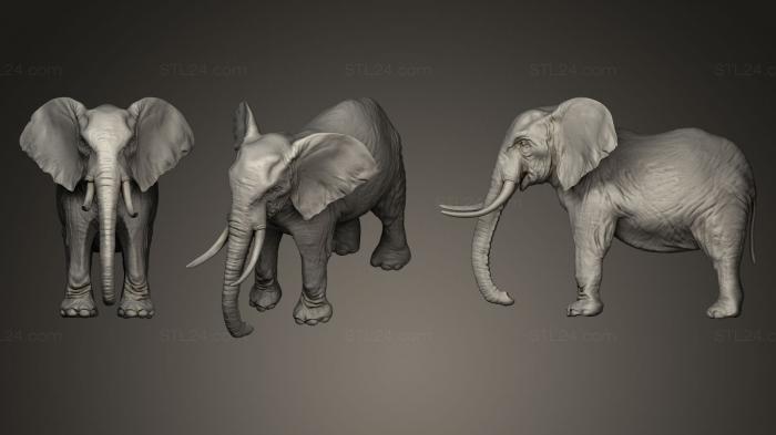 Статуэтки животных (Слон 3d, STKJ_0259) 3D модель для ЧПУ станка